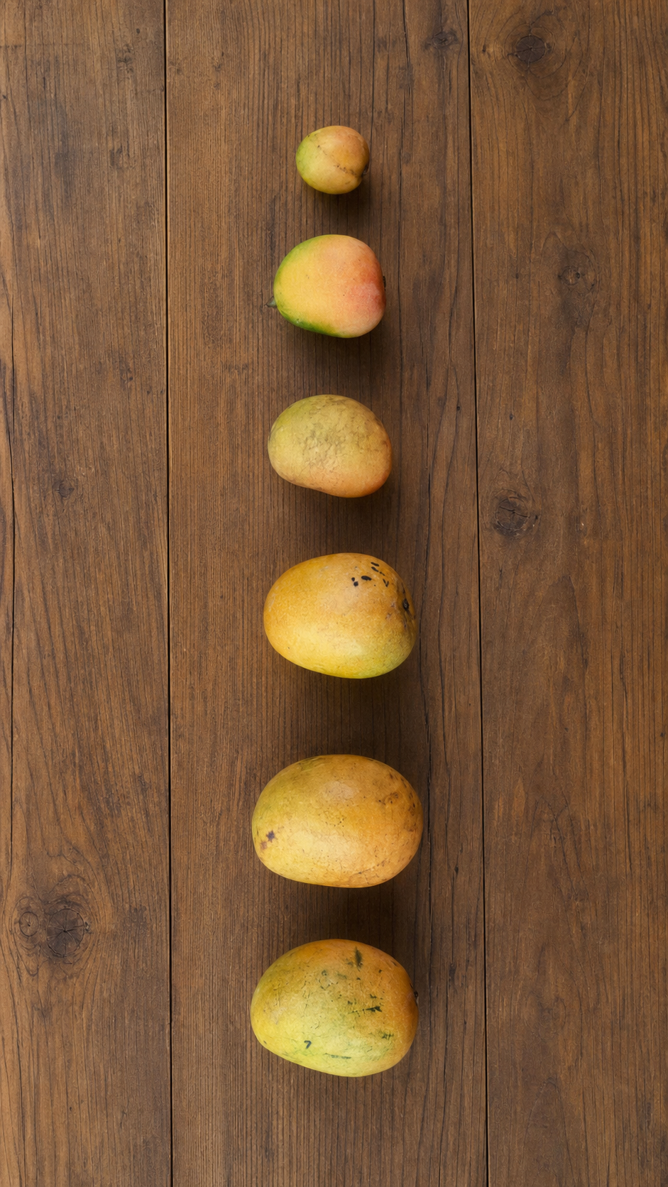 Six seasonal mango varieties on a teak wood table